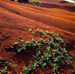 《荣耀战魂》即将在上市第六年迎来跨平台对战功能
